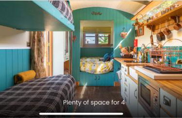 Shepherds Hut with Scandinavian Hot Tub and hydromassager - Foto 9