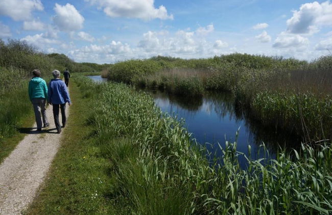 Holiday Home in Callantsoog Near Beach - Photo 33