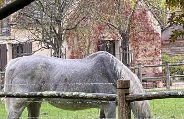 Domaine de Poulaines près Valençay Val de Loire Berry - Foto 18