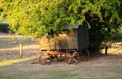 Long Cover Cottage - Foto 13