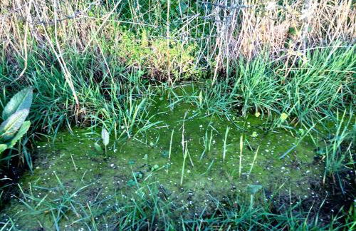 Arcobaleno Toscano - Foto 19