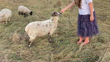 Mill Lodge - Photo 5