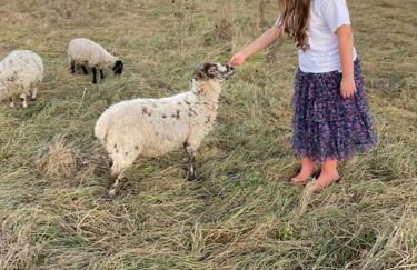 Mill Lodge - Photo 5