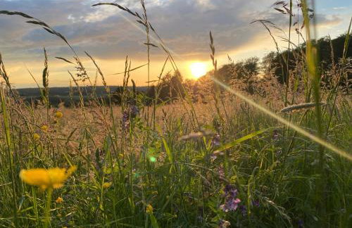 Ferienhaus Bührer - Foto 24