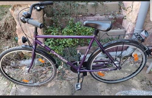 Ferienwohnung am Schloss Colditz - Foto 40