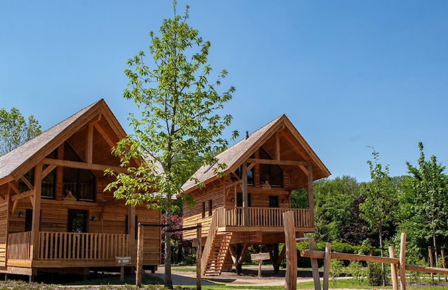 Wellness Home in Brabant With Private Spa - Photo 21