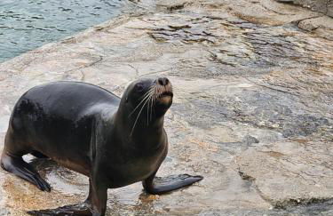 Familienfreundliche FeWo für 6 Personen - Photo 11