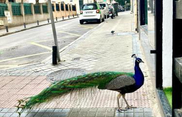 Encantador apartamento céntrico en Barrio Salamanca, junto a WiZink Center Movistar Arena y Plaza de Toros Las Ventas - Foto 43