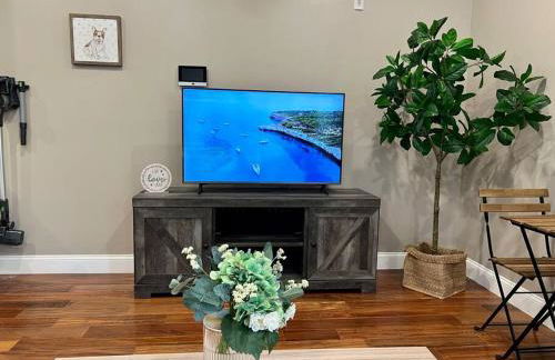 502 Luxury 1BR apartment in center city - Foto 9