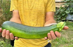 Ferienhaus Glücklich am Bach - Foto 11