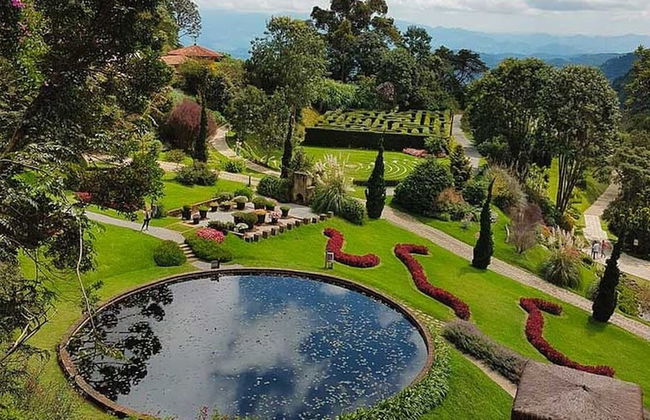 Refúgio dos pinhais - Foto 41