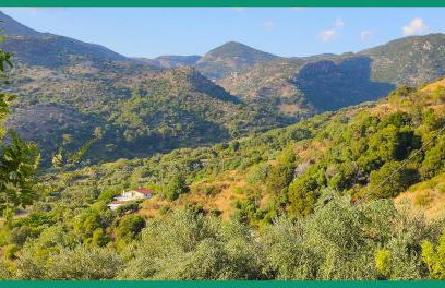 Kampos View Ikaria - Photo 24