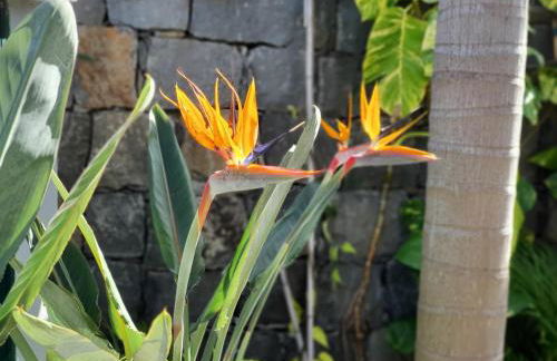 Villa Palmera Sea View - Foto 36