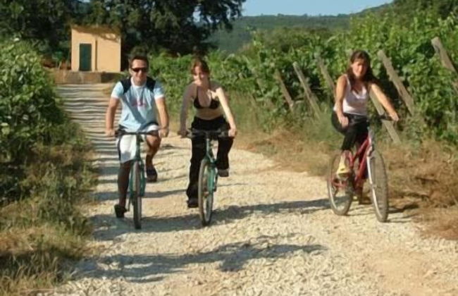 Agriturismo La Pisana - Foto 86