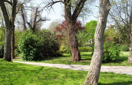 Apartment Casa del Ligustro by Interhome - Foto 47