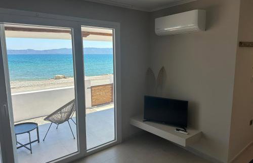 Asaminthos - Foto 17