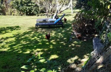 Casinha Nº461 - Foto 57