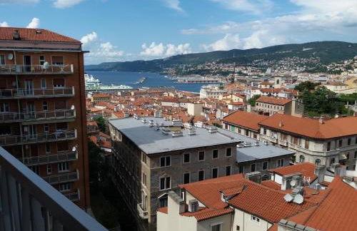 IR Panoramic - Photo 22