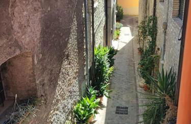 Pink house - Foto 23