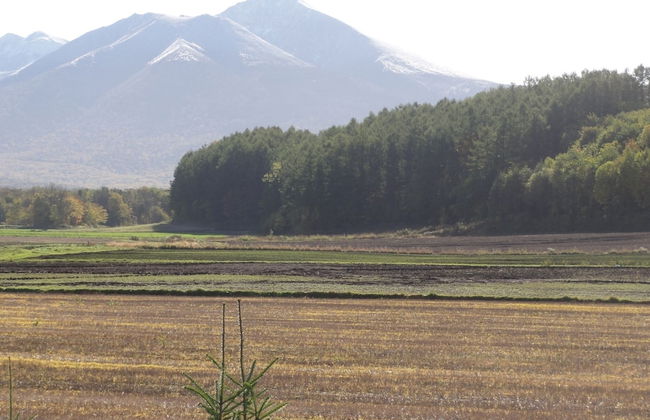 The Sanfurano - Foto 74