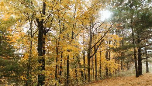 "Boone's Bluff" - Humble & Cozy Stay in RRG/Auxier - Foto 3, Other