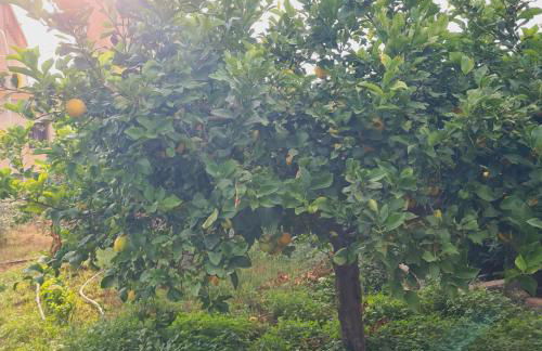 A un Passo dal Tramonto - Foto 28