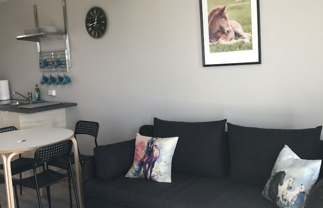 Sólvangur Farm, Icelandic Horse Center - Photo 5