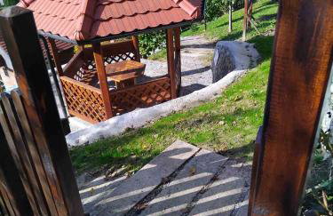 Vila Trnoružica - Foto 61