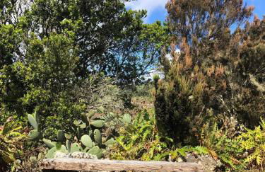 Casas Del Monte II - Foto 18