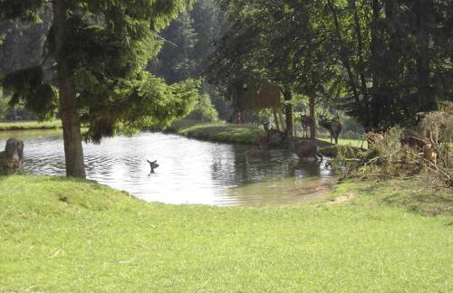 Ferienwohnung Huglbauer - Foto 34