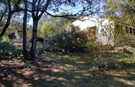 Villa avec piscine sur terrain clôt - Photo 39