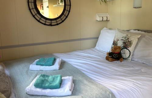 Mountain View Shepherds Hut - Foto 17