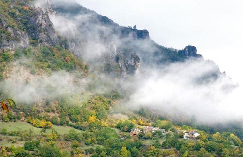 les 3 mesanges - Foto 12