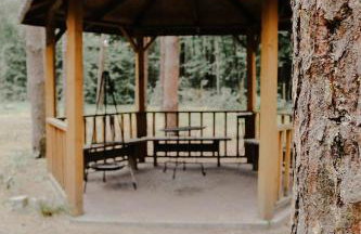 Domek na Drzewie Radziejowice blisko Suntago - Photo 9