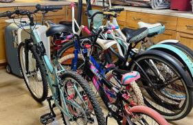 3-BR space in charming Hollywood - Foto 19