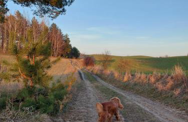 Camp Warmia - Foto 44