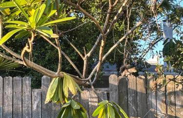 RR Beach Residence - Foto 44