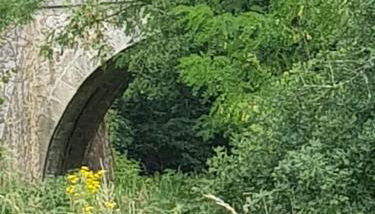 GITE BAS-EN-BASSET, HAUTE-LOIRE, MAISON et JARDIN ATYPIQUE PLEINE NATURE - Foto 2