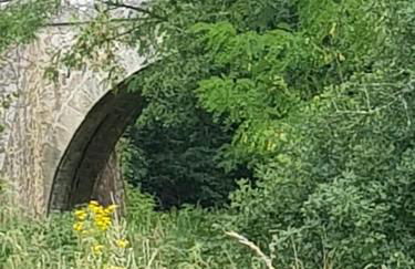 GITE BAS-EN-BASSET, HAUTE-LOIRE, MAISON et JARDIN ATYPIQUE PLEINE NATURE - Foto 2