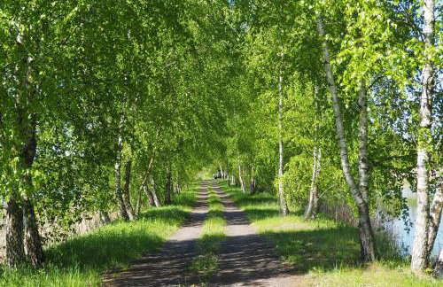 Małe Mazury- domek z łowiskiem - Photo 8