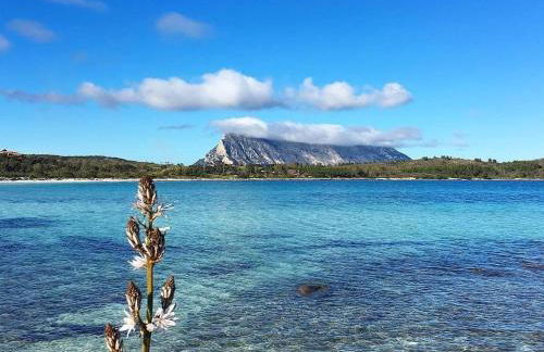 Arya Apartment - Foto 26