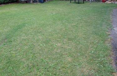 Alisea Home - Foto 32