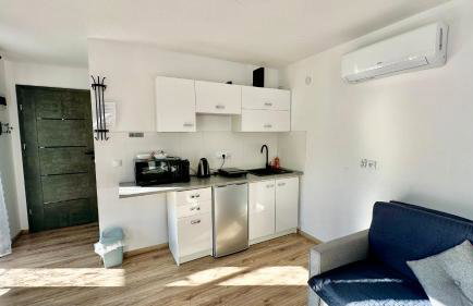 Domki Pasieka Domek D - Foto 13