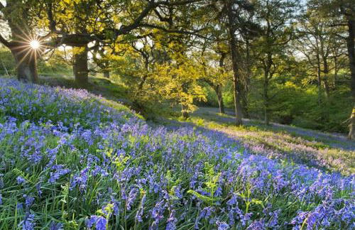 35 Quaker Lane - Foto 64