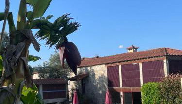 Casa da Ponte do Porto - Foto 2