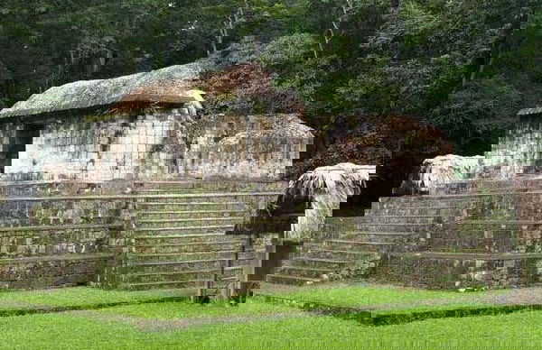 Day Trip to El Ceibal - Photo 2