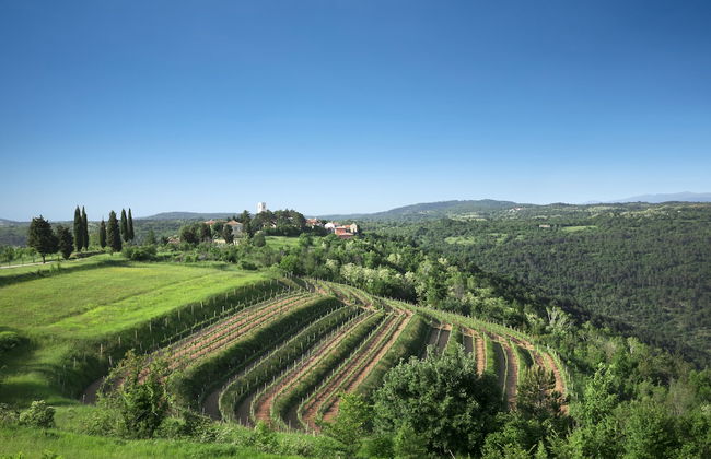 Villa Palazzo Angelica - Foto 39