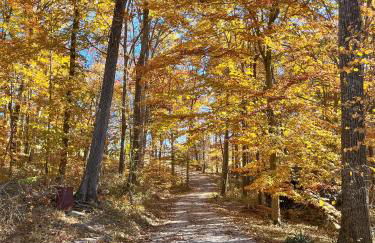 Dewdrop Inn - Foto 28