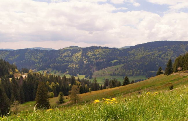 Comfy Apartment in Salmensbach near River - Photo 15