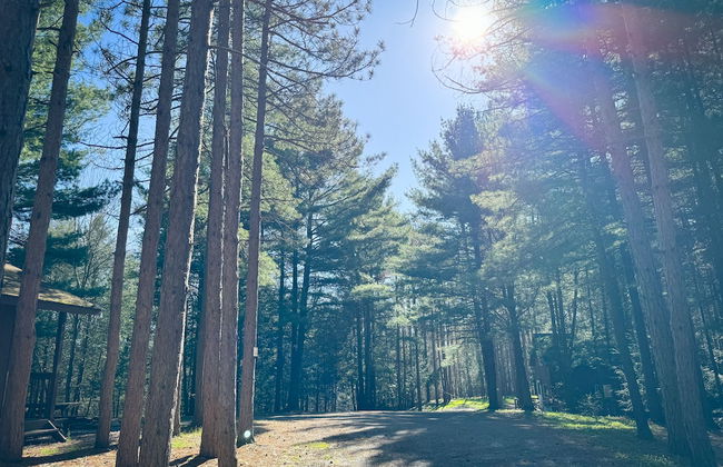 Boyer's Pond Campground - Foto 48